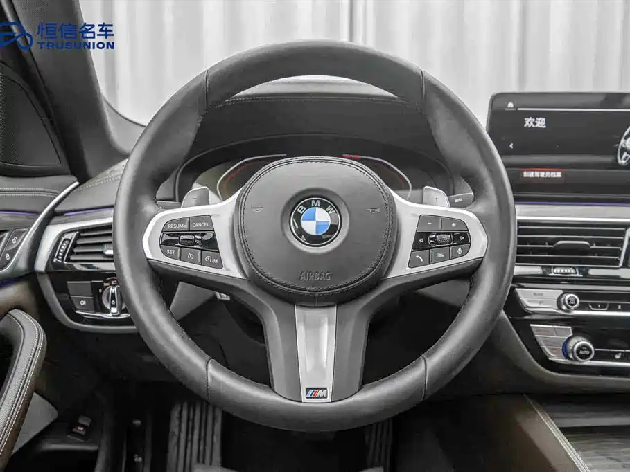 BMW BMW 5 Series 2022 530Li Leading Model M Sport Package 2022 - thumbnail 17