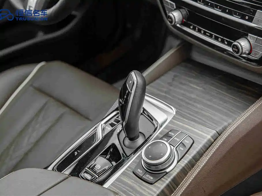 BMW BMW 5 Series 2022 530Li Leading Model M Sport Package 2022 - thumbnail 19