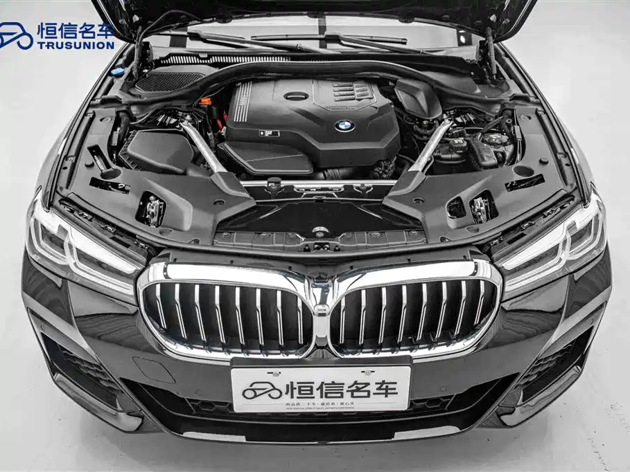 BMW BMW 5 Series 2022 530Li Leading Model M Sport Package 2022 - thumbnail 21