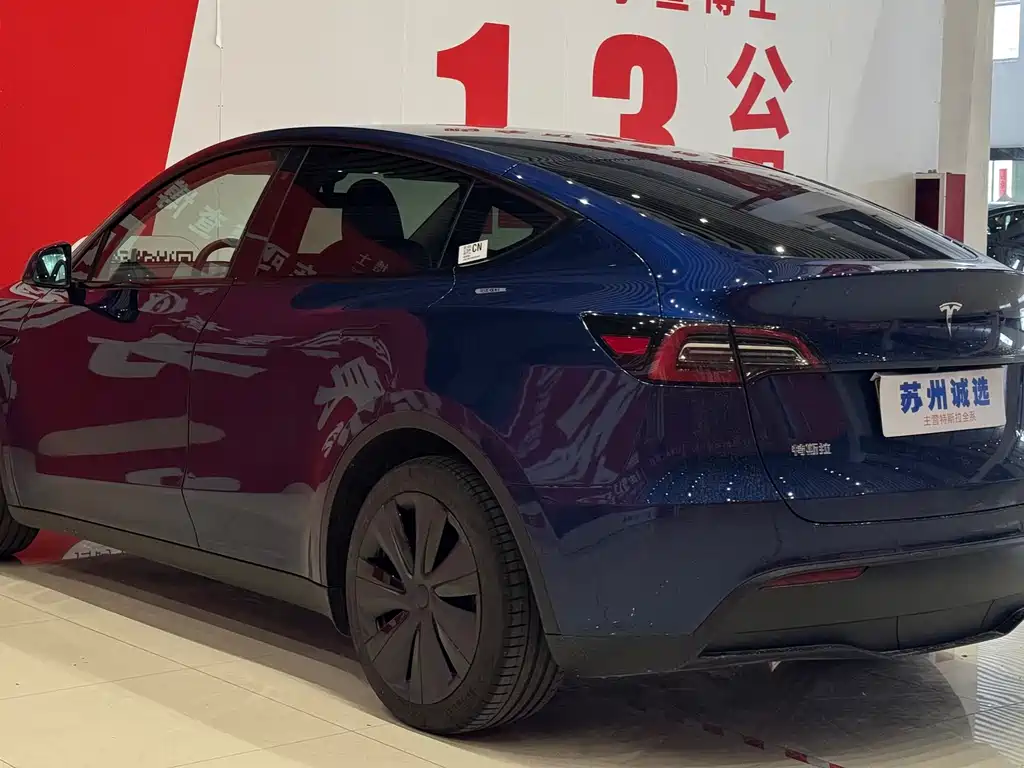 Tesla Model Y 2023 Rear-Wheel Drive 2023 - thumbnail 10