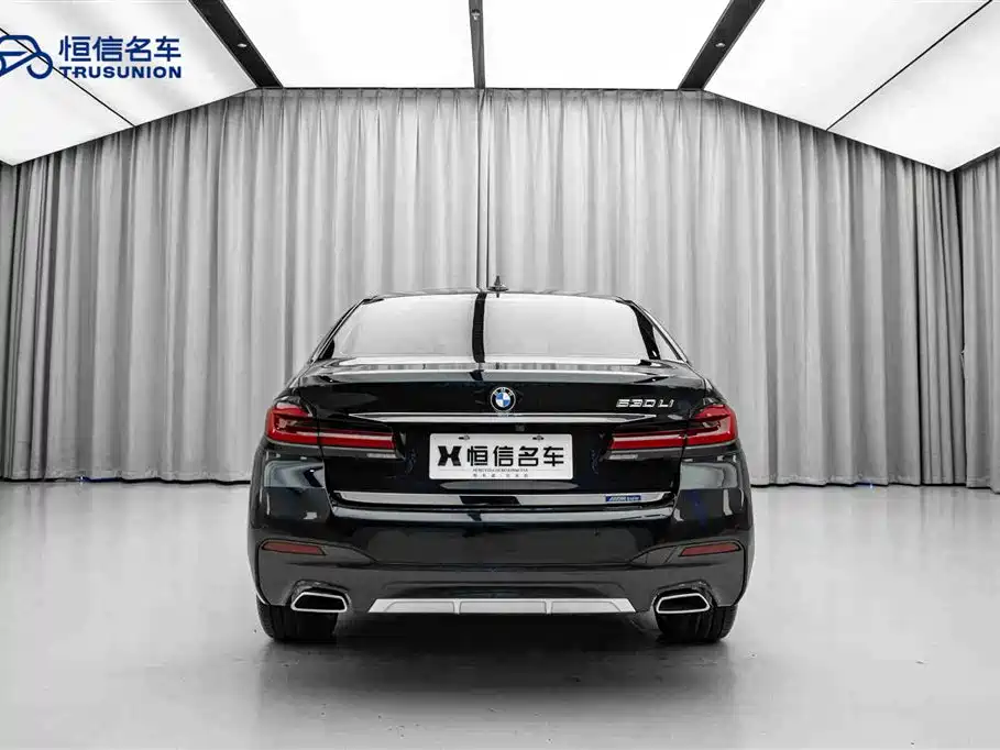 BMW BMW 5 Series 2021 530Li Leading Model M Sport Package 2021 - thumbnail 6