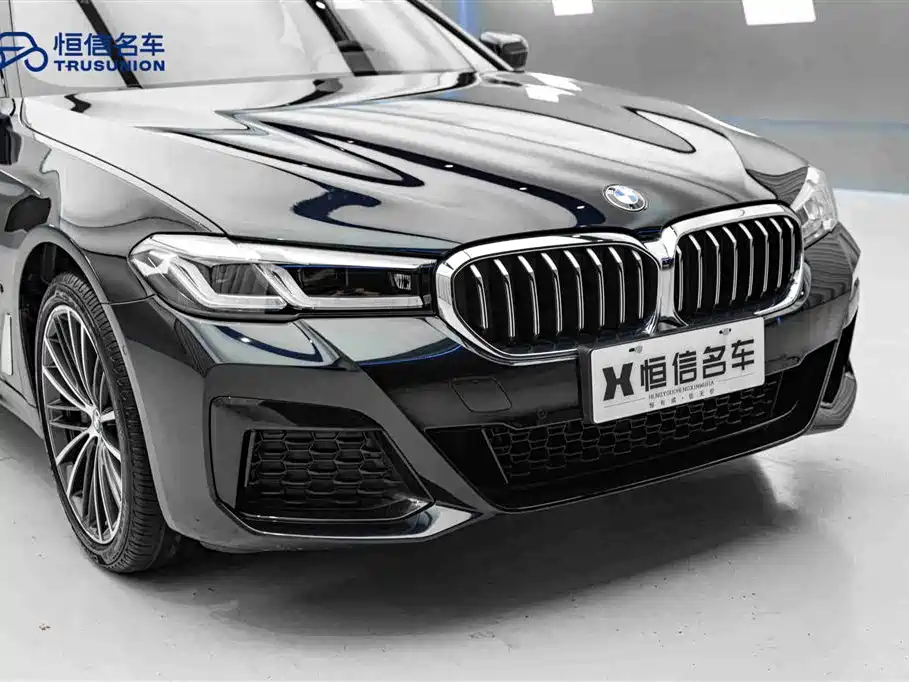 BMW BMW 5 Series 2021 530Li Leading Model M Sport Package 2021 - thumbnail 9