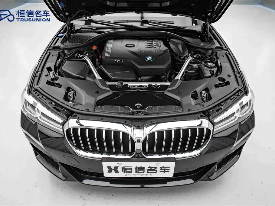 BMW BMW 5 Series 2021 530Li Leading Model M Sport Package 2021 - thumbnail 21
