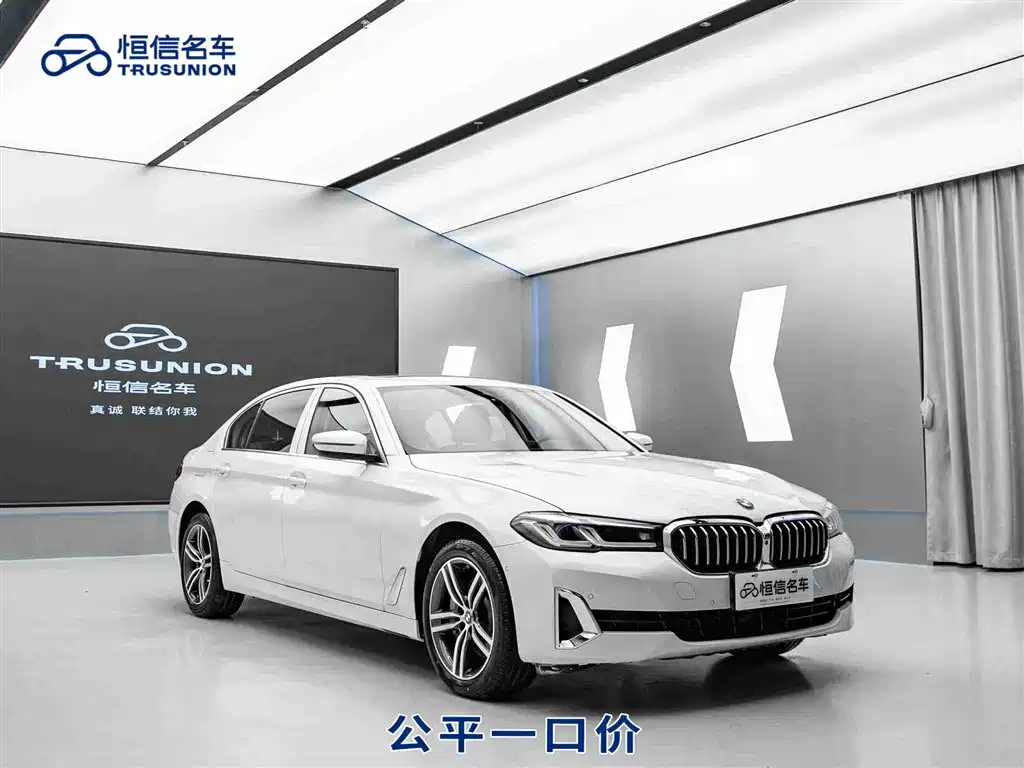 BMW BMW 5 Series 2021 530Li Leading Model Luxury Package 2021