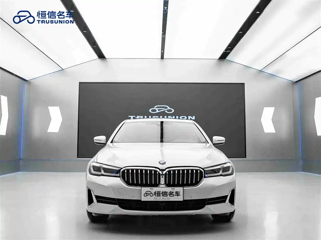 BMW BMW 5 Series 2021 530Li Leading Model Luxury Package 2021 - thumbnail 2