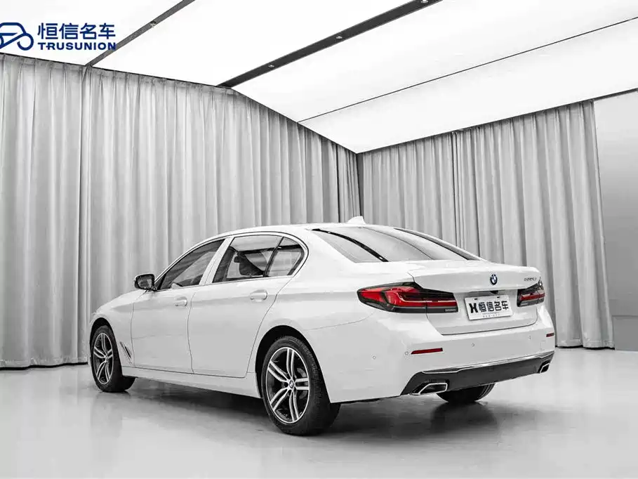 BMW BMW 5 Series 2021 530Li Leading Model Luxury Package 2021 - thumbnail 7