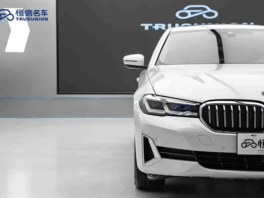 BMW BMW 5 Series 2021 530Li Leading Model Luxury Package 2021 - thumbnail 8