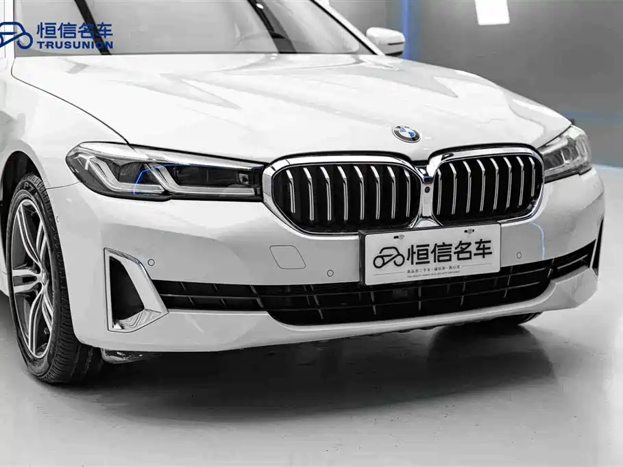 BMW BMW 5 Series 2021 530Li Leading Model Luxury Package 2021 - thumbnail 9