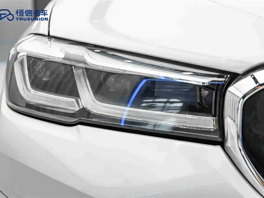 BMW BMW 5 Series 2021 530Li Leading Model Luxury Package 2021 - thumbnail 10
