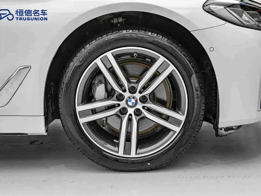 BMW BMW 5 Series 2021 530Li Leading Model Luxury Package 2021 - thumbnail 11
