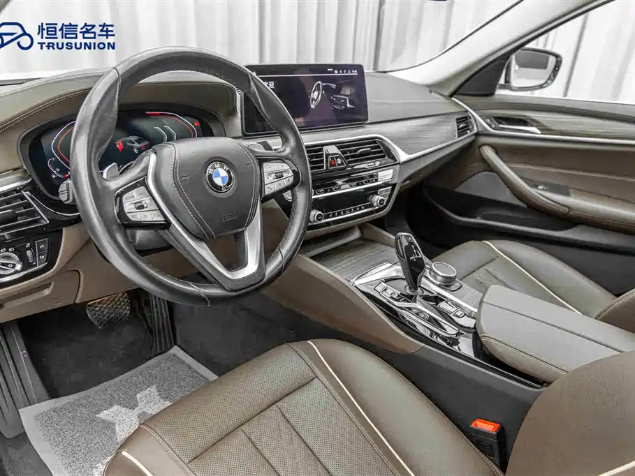 BMW BMW 5 Series 2021 530Li Leading Model Luxury Package 2021 - thumbnail 12