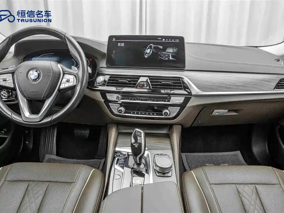BMW BMW 5 Series 2021 530Li Leading Model Luxury Package 2021 - thumbnail 13