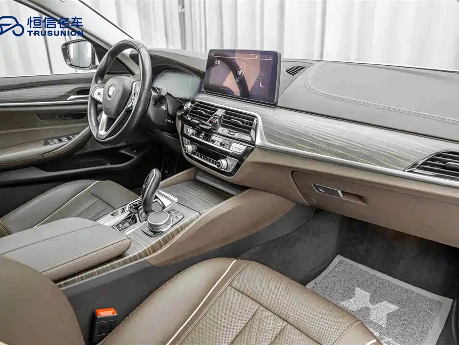 BMW BMW 5 Series 2021 530Li Leading Model Luxury Package 2021 - thumbnail 14