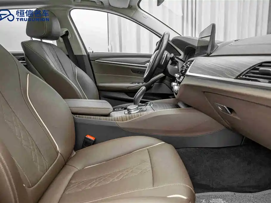 BMW BMW 5 Series 2021 530Li Leading Model Luxury Package 2021 - thumbnail 15