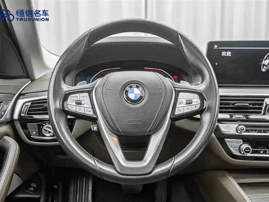 BMW BMW 5 Series 2021 530Li Leading Model Luxury Package 2021 - thumbnail 17