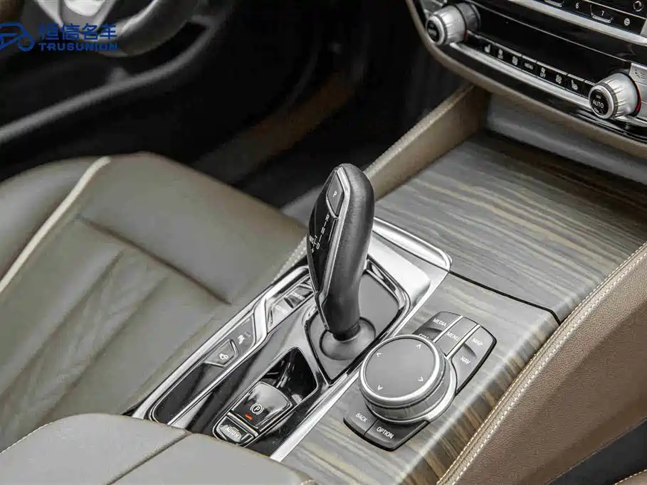 BMW BMW 5 Series 2021 530Li Leading Model Luxury Package 2021 - thumbnail 19