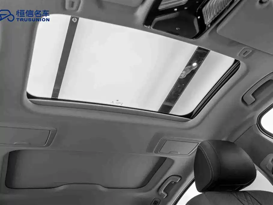 BMW BMW 5 Series 2021 530Li Leading Model Luxury Package 2021 - thumbnail 20
