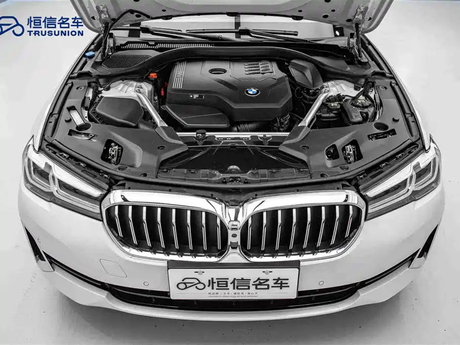 BMW BMW 5 Series 2021 530Li Leading Model Luxury Package 2021 - thumbnail 21