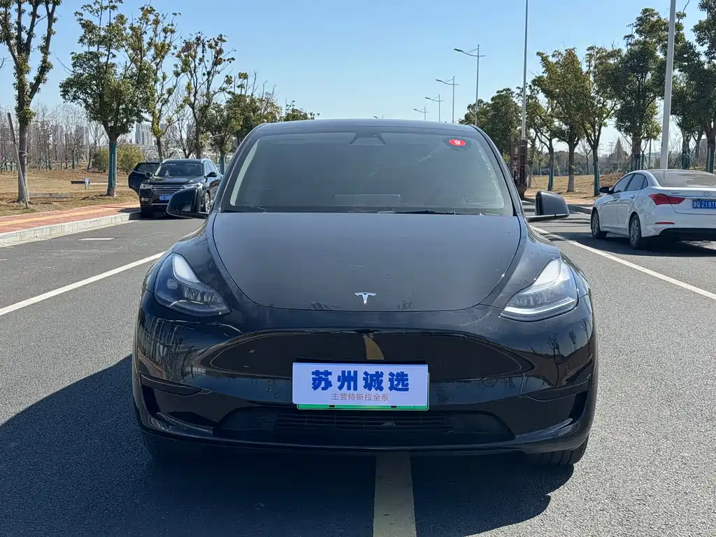 Tesla Model Y 2022 Rear-Wheel Drive 2023