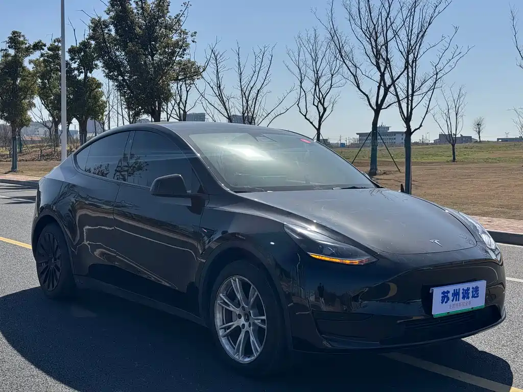 Tesla Model Y 2022 Rear-Wheel Drive 2023 - thumbnail 2