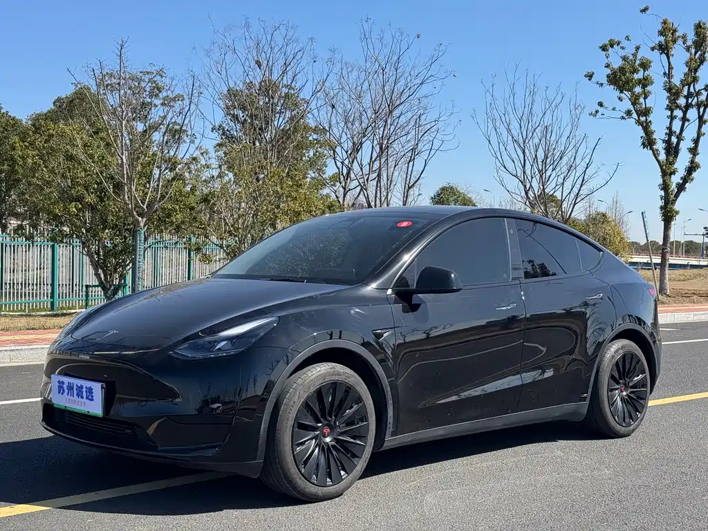 Tesla Model Y 2022 Rear-Wheel Drive 2023 - thumbnail 3