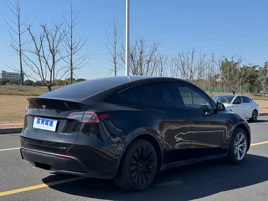 Tesla Model Y 2022 Rear-Wheel Drive 2023 - thumbnail 5