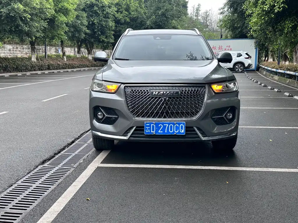 Haval Haval H6 2021 Guochao Edition 1.5GDIT Automatic Supreme Luxury Version 2021 - thumbnail 2