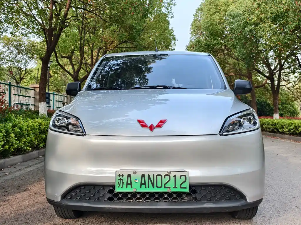 Wuling Motors Wuling Hongguang New Energy 2024 Pure Electric Version 300KM Standard Model 2024 - thumbnail 2