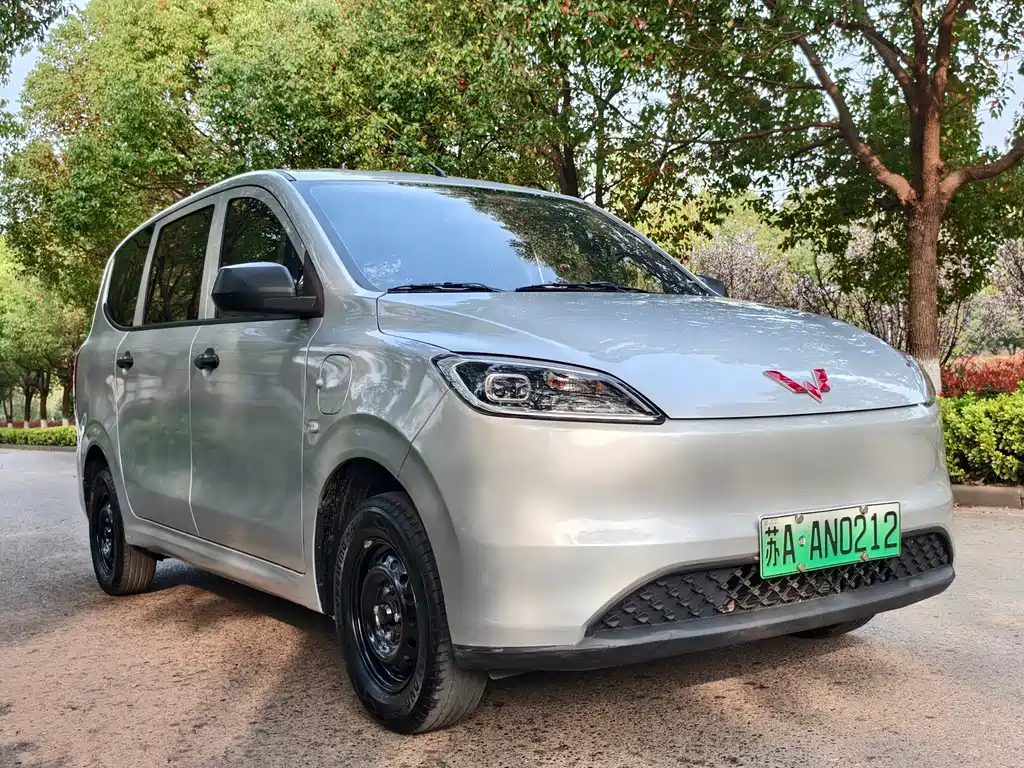 Wuling Motors Wuling Hongguang New Energy 2024 Pure Electric Version 300KM Standard Model 2024 - thumbnail 5