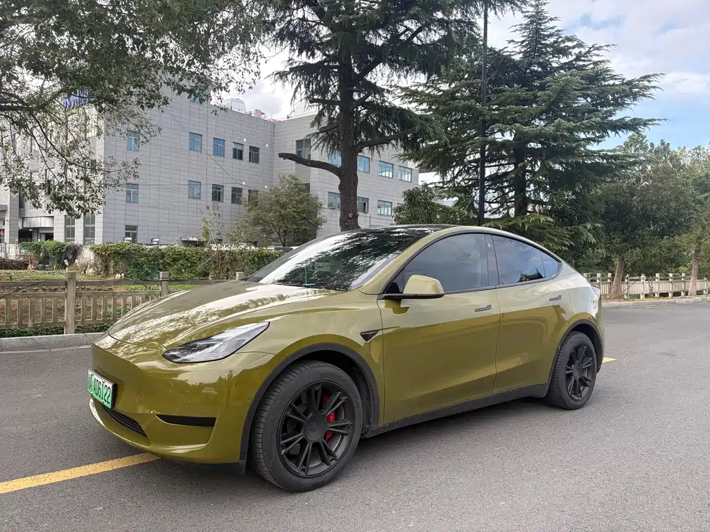 Tesla Model Y 2022 Rear-Wheel Drive 2023