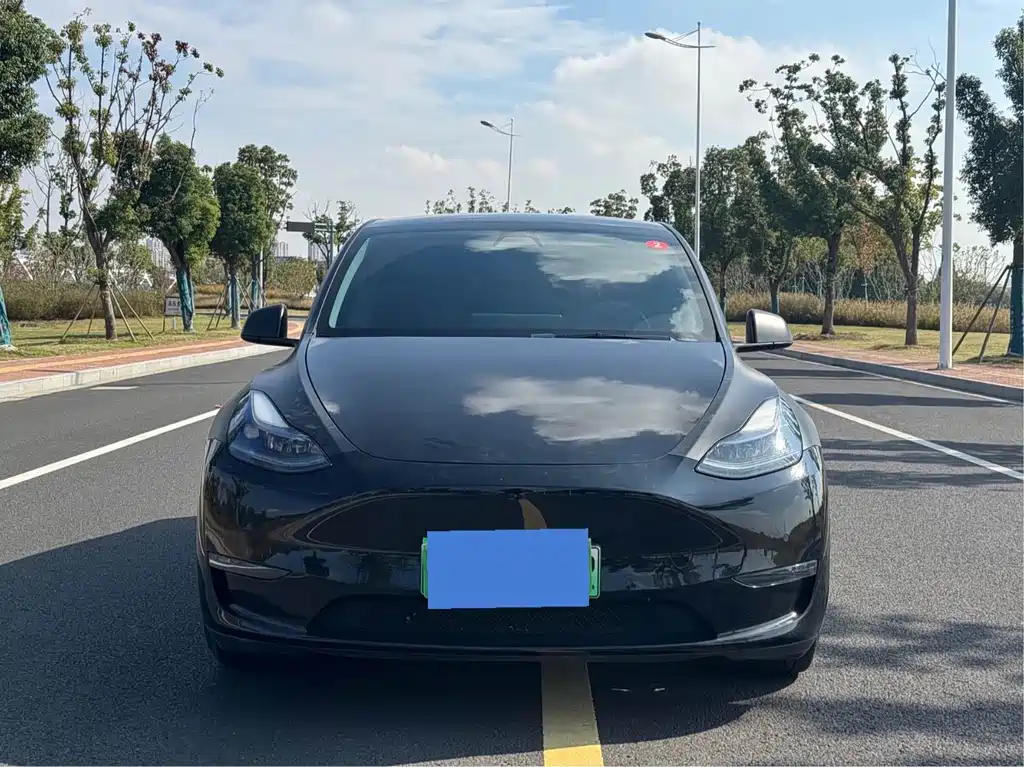 Tesla Model Y 2022 Performance AWD 2022 - thumbnail 2