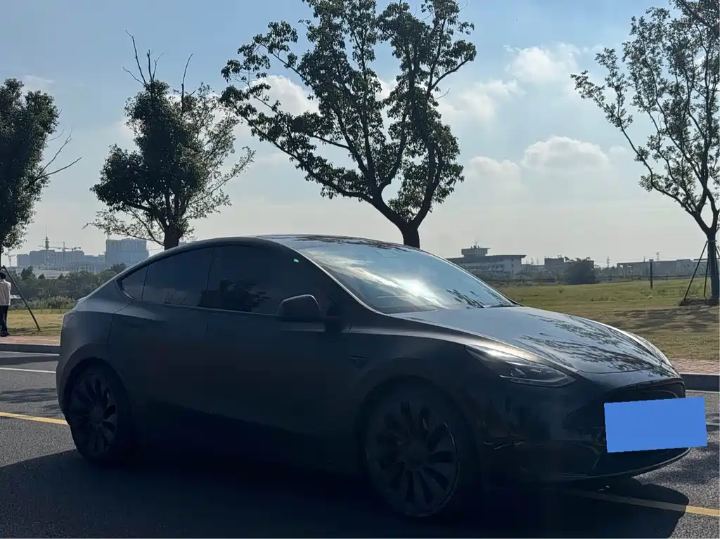 Tesla Model Y 2022 Performance AWD 2022 - thumbnail 3