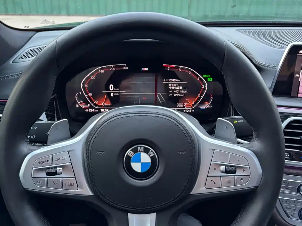 BMW BMW 7 Series 2019 740Li Leading Model Luxury Package 2019 - thumbnail 16