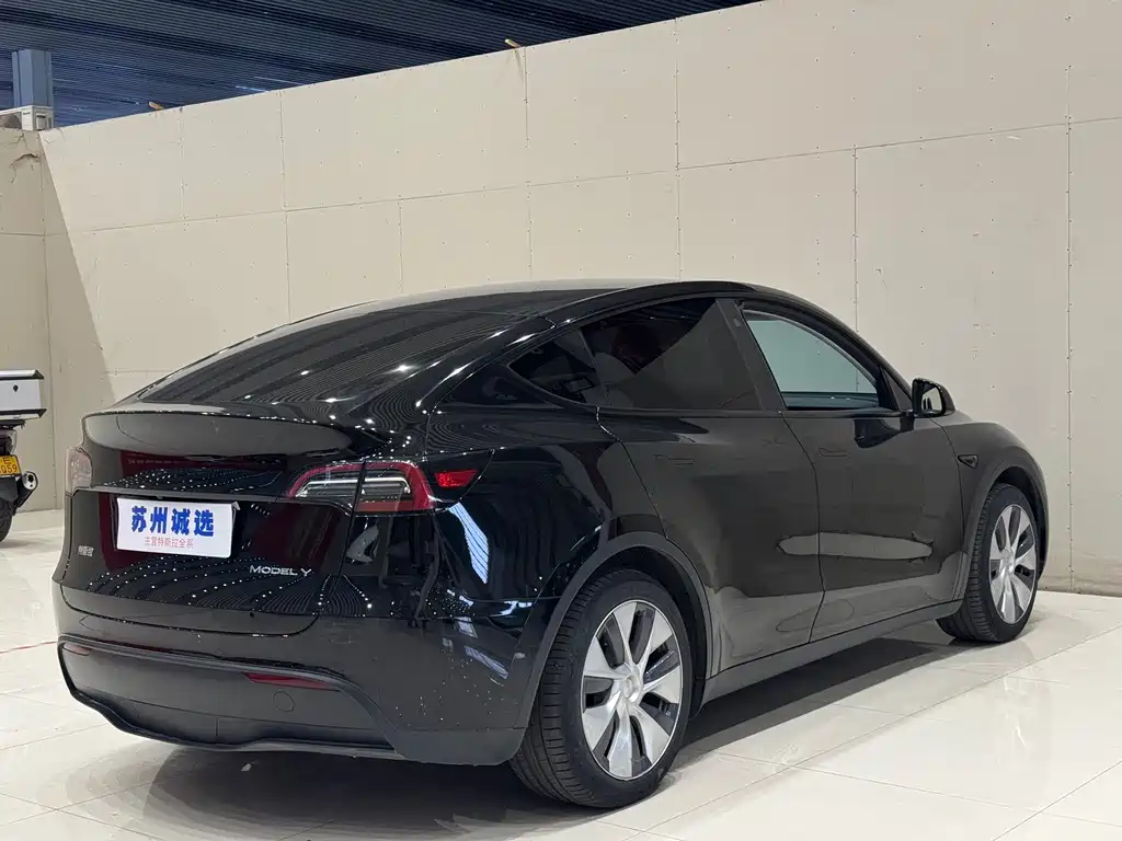 Tesla Model Y 2022 Rear-Wheel Drive 2023 - thumbnail 11