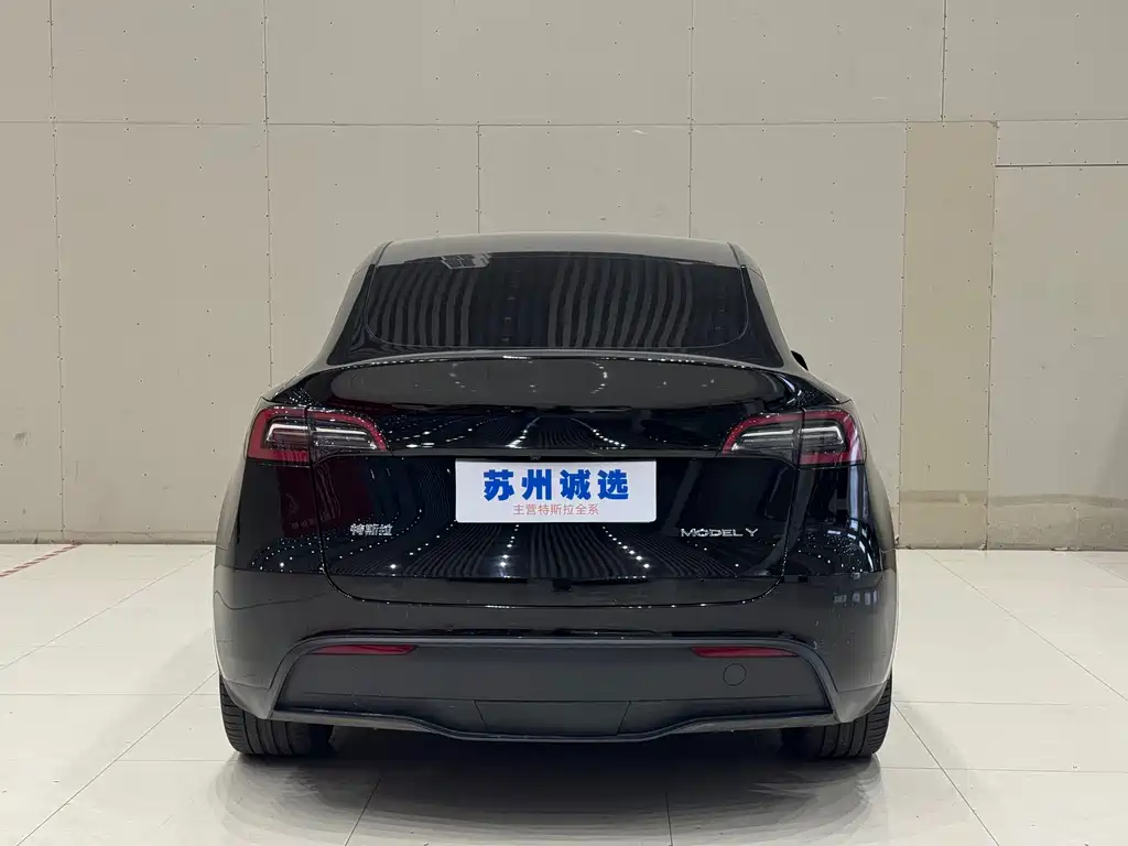 Tesla Model Y 2022 Rear-Wheel Drive 2023 - thumbnail 12