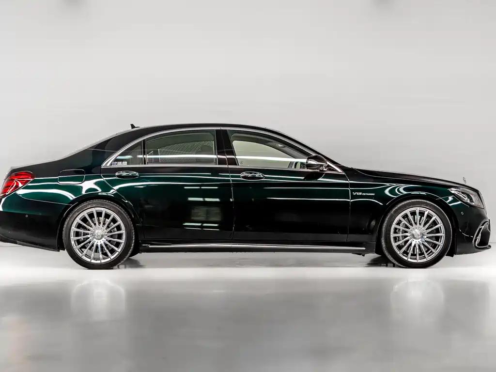 Mercedes-Benz Mercedes-Benz S-Class AMG 2018 AMG S 65 L 2019 - thumbnail 5