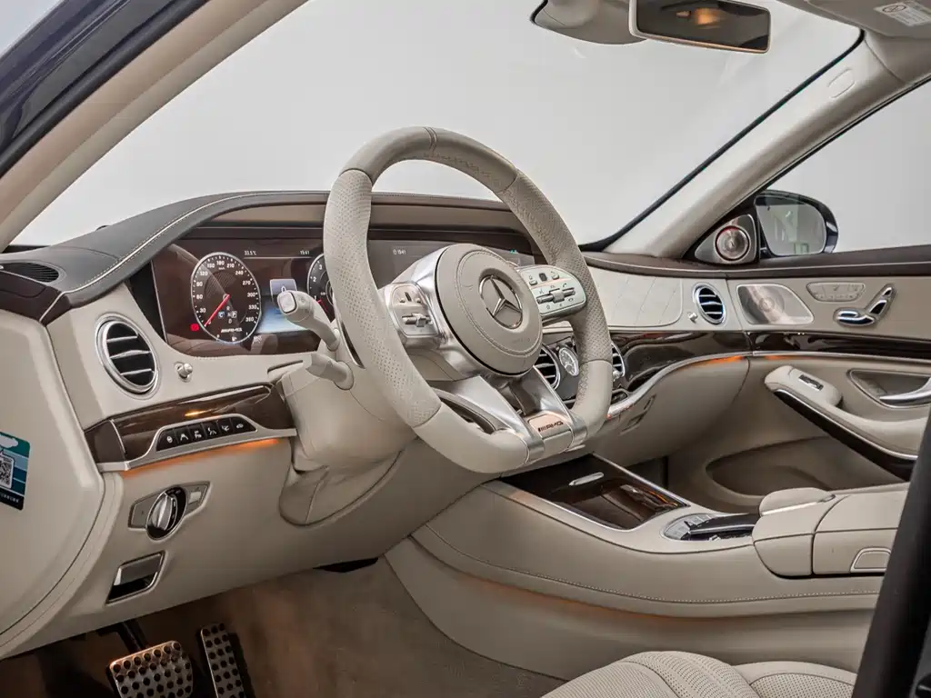 Mercedes-Benz Mercedes-Benz S-Class AMG 2018 AMG S 65 L 2019 - thumbnail 8