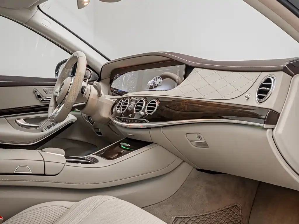 Mercedes-Benz Mercedes-Benz S-Class AMG 2018 AMG S 65 L 2019 - thumbnail 12