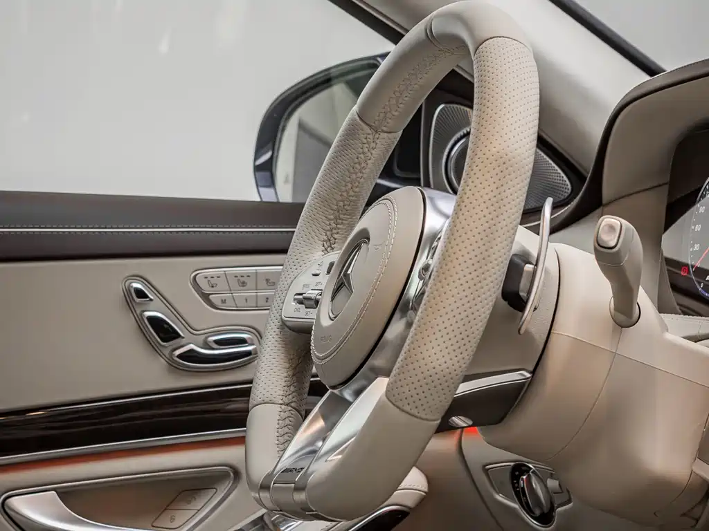 Mercedes-Benz Mercedes-Benz S-Class AMG 2018 AMG S 65 L 2019 - thumbnail 14