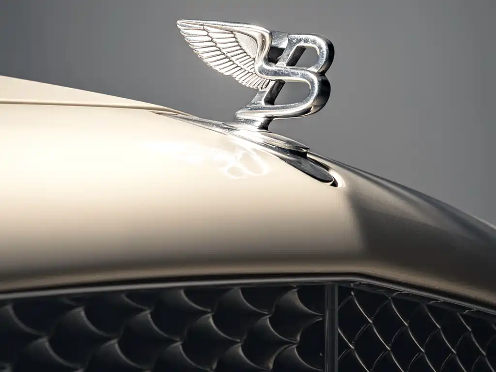 Bentley Bentley Arnage 2009 6.8T 90th Anniversary Edition 2009 - thumbnail 5