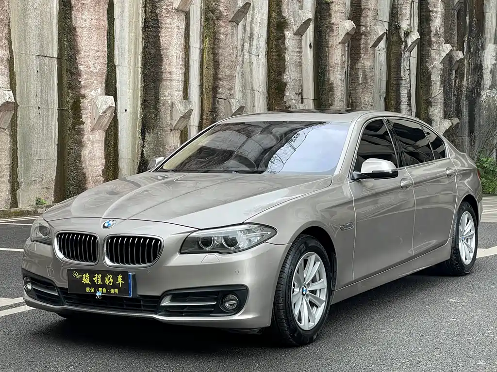 BMW BMW 5 Series 2014 520Li Elegant Edition 2015