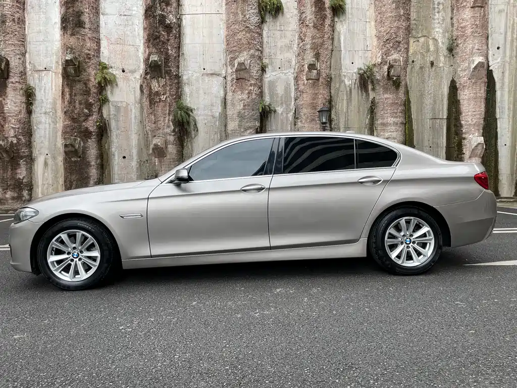 BMW BMW 5 Series 2014 520Li Elegant Edition 2015 - thumbnail 5