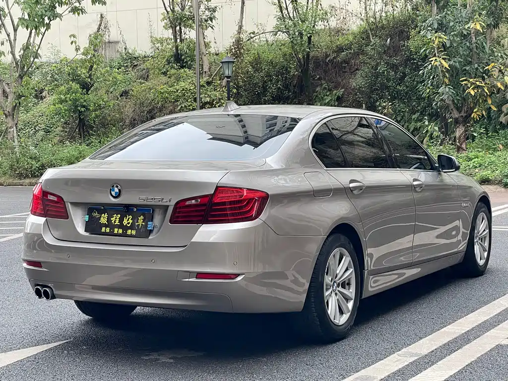 BMW BMW 5 Series 2014 520Li Elegant Edition 2015 - thumbnail 8