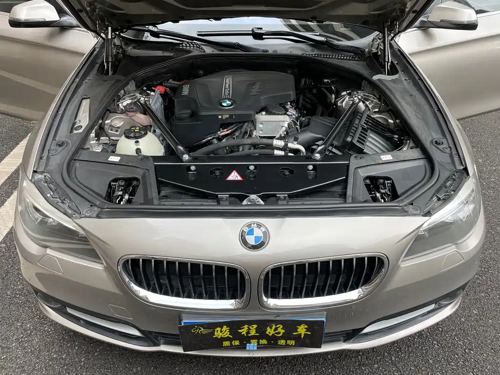 BMW BMW 5 Series 2014 520Li Elegant Edition 2015 - thumbnail 11