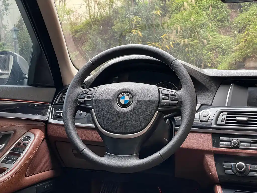 BMW BMW 5 Series 2014 520Li Elegant Edition 2015 - thumbnail 18