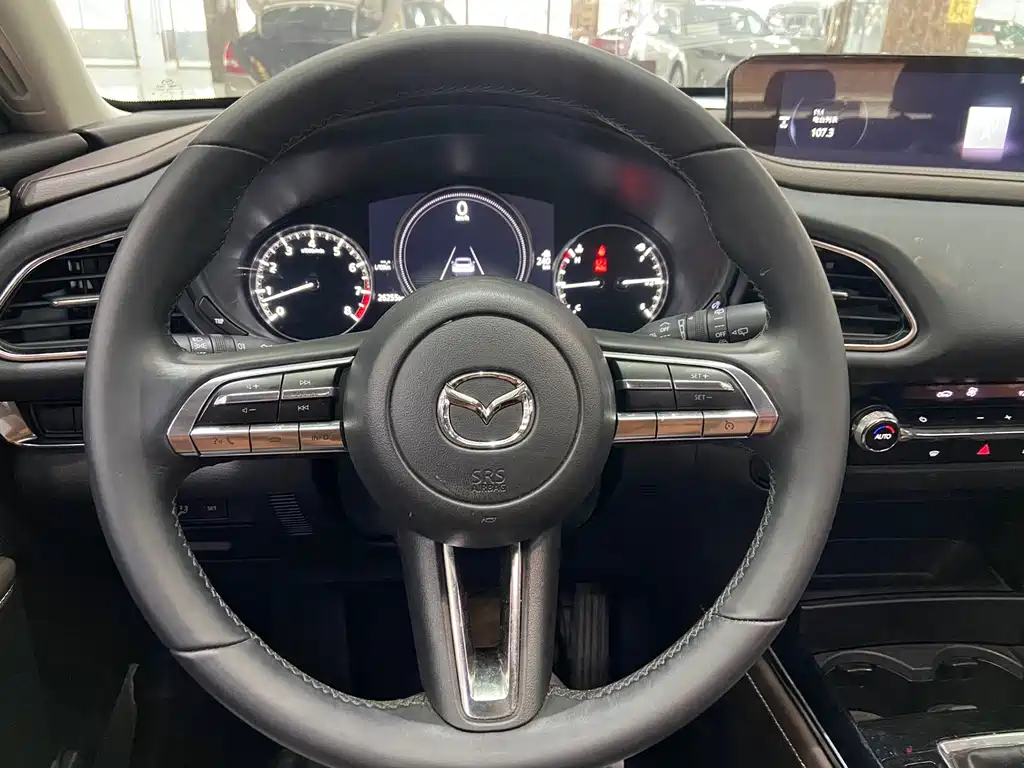 Mazda Mazda CX-30 2022 2.0L Automatic Jia Yue Edition 2022 - thumbnail 19