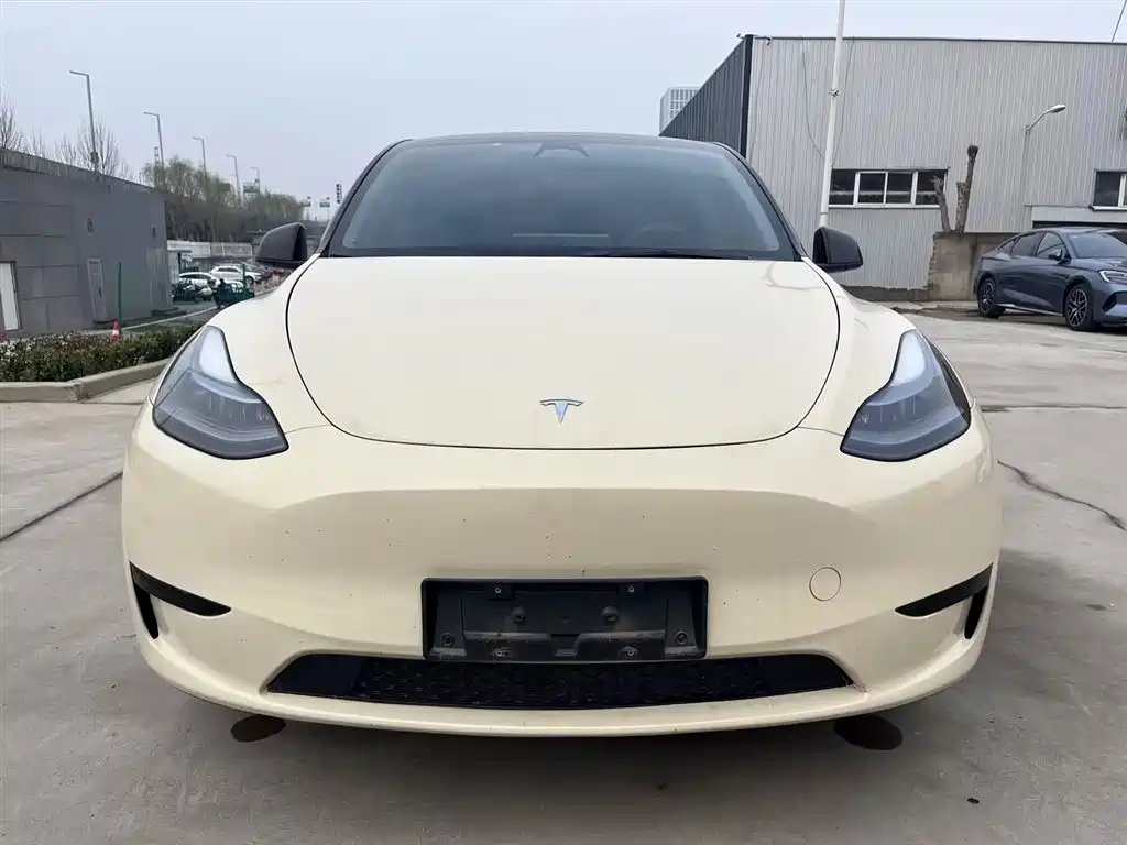 Tesla Model Y 2022 Rear-Wheel Drive 2023 - thumbnail 2