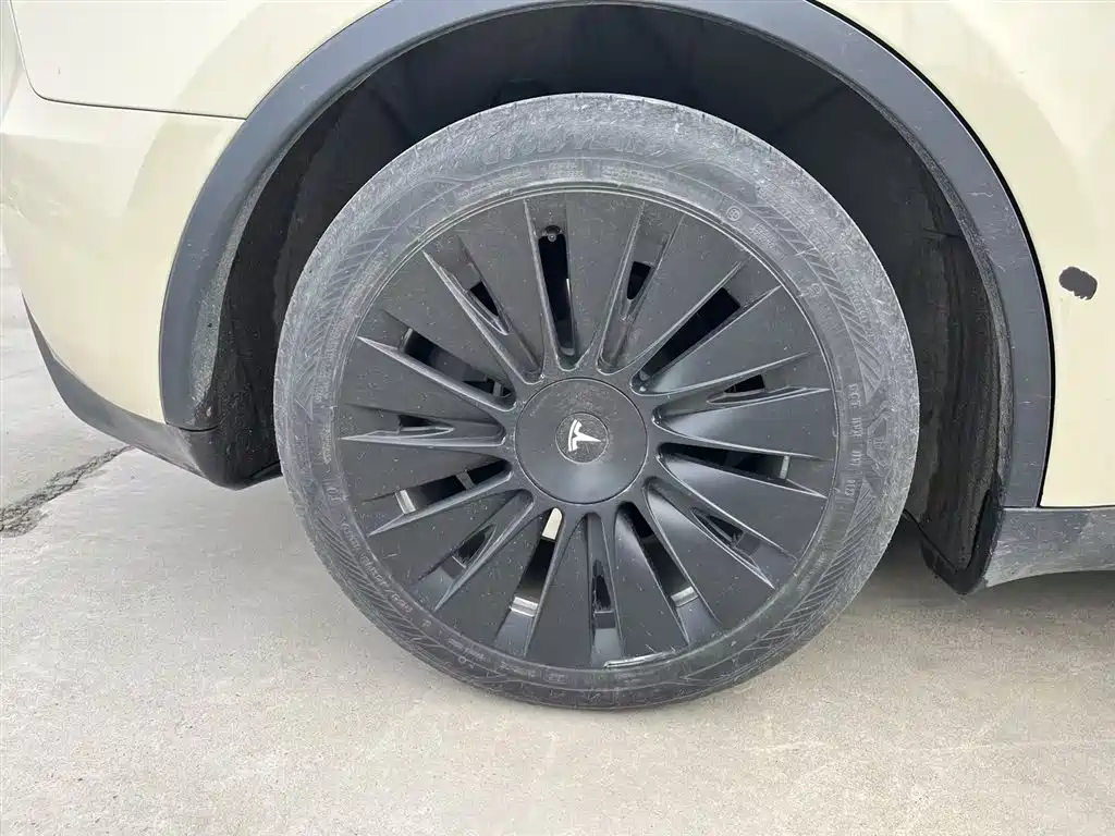 Tesla Model Y 2022 Rear-Wheel Drive 2023 - thumbnail 17