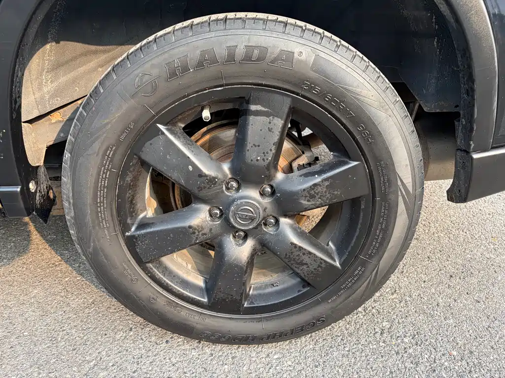 Nissan Nissan X-Trail 2010 2.5L CVT Luxury Edition 4WD 2010 - thumbnail 14