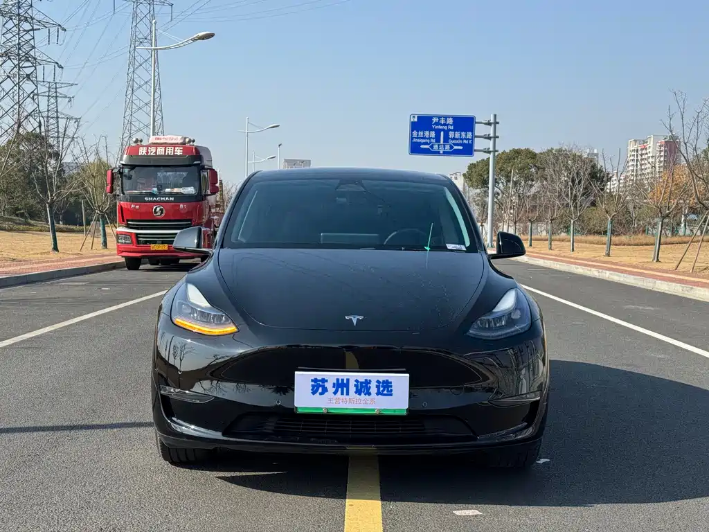 Tesla Model Y 2021 Standard Range Rear-Wheel Drive 2021 - thumbnail 2